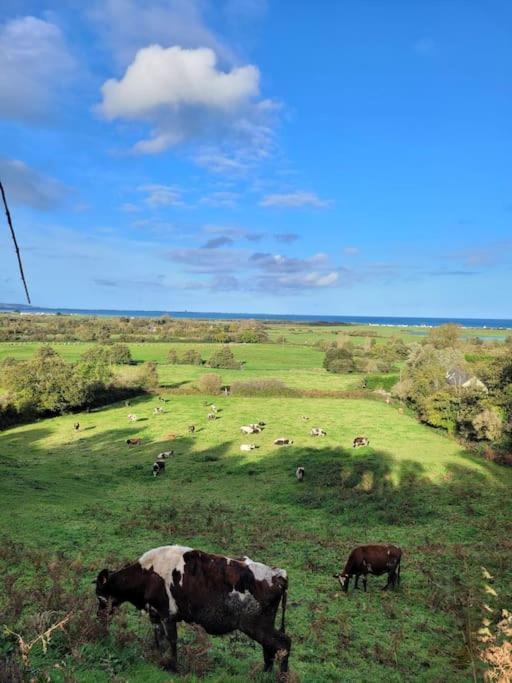 Gite Moussette - Bord De Mer - 4/6 Pers. Quinéville Exteriér fotografie